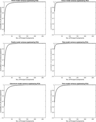 Statistical Shape Modeling of Skeletal Anatomy for Sex Discrimination: Their Training Size, Sexual Dimorphism, and Asymmetry